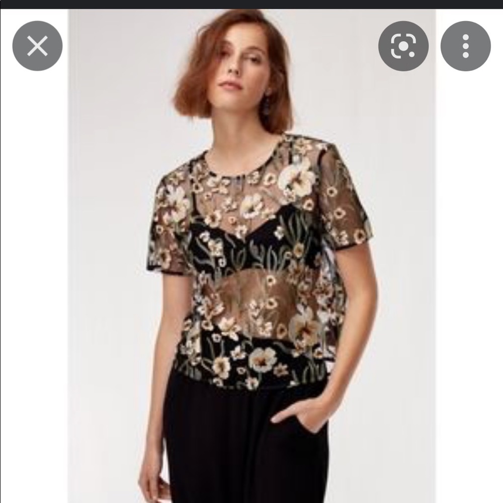 Aritizia - little moon sheer blouse